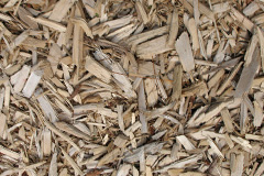 biomass boilers Rhosgoch